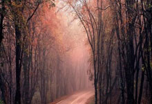 北马其顿选手在国际足球赛事中大获胜利