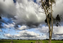 利比亚队晋级，实力不容忽视