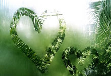 匈牙利-战平波斯尼亚，欧洲杯预选赛实力相近