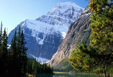 南安普顿三球大胜切尔西，喜迎胜利