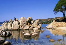 圣埃蒂安逼平对手，继续保持不败战绩